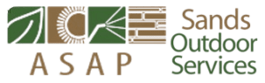 Asap_LOGO_Horizontal-removebg-preview