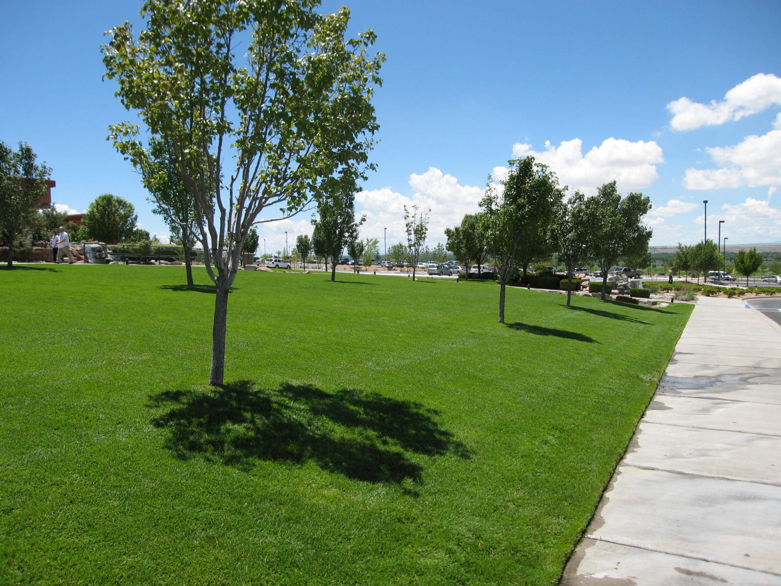 Turf and Tree Maintenance